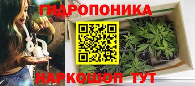 Альфа ПВП Донецк