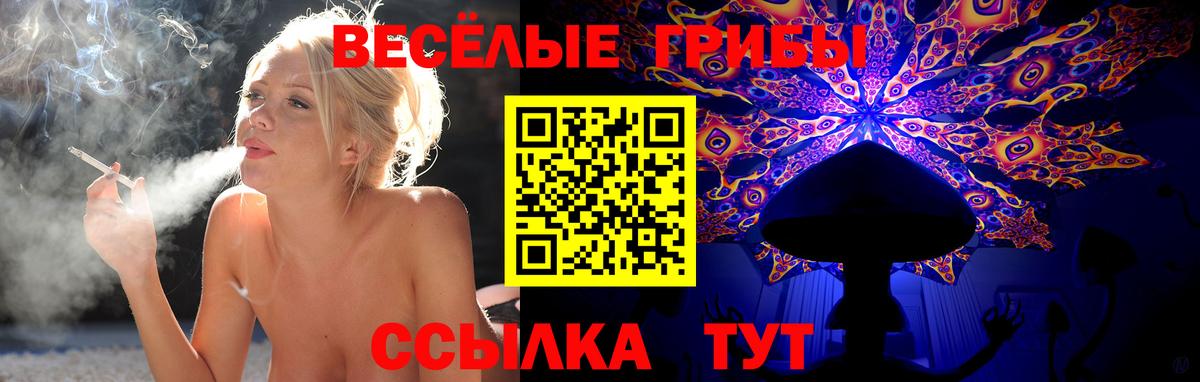 Псилоцибиновые грибы ЛСД Луховицы