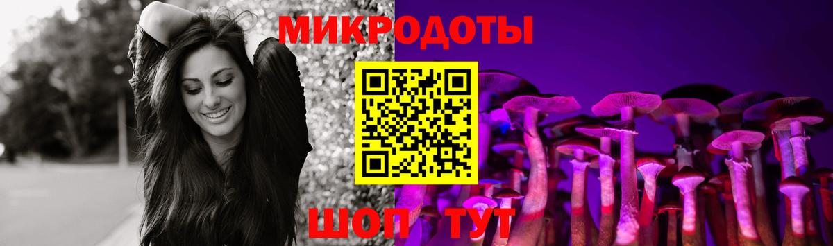 Псилоцибиновые грибы Psilocybe  Галлюциногенные грибы Psilocybe  Вход с VPN  наркотики  Луховицы 